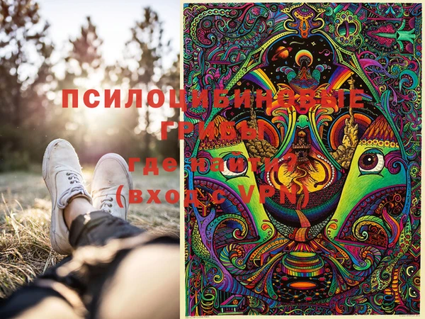 МДПВ Сосновый Бор