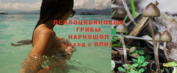 спайс Сосновоборск